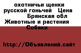 охотничьи щенки русской гоньчей › Цена ­ 3 000 - Брянская обл. Животные и растения » Собаки   